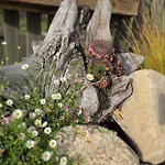 Appartement Ferien Im Gartenrausch - Goenn Dir Eine Auszeit Im Herzen Von