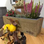 Ferien Im Gartenrausch - Goenn Dir Eine Auszeit Im Herzen Von Wörlitz