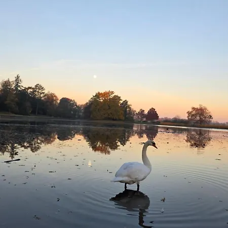 Apartment Ferien Im Gartenrausch - Goenn Dir Eine Auszeit Im Herzen Von *