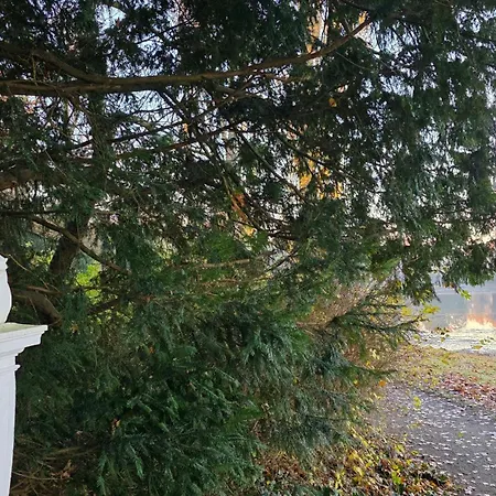 Ferien Im Gartenrausch - Goenn Dir Eine Auszeit Im Herzen Von Apartment