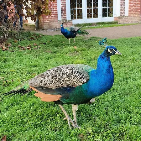 Ferien Im Gartenrausch - Goenn Dir Eine Auszeit Im Herzen Von