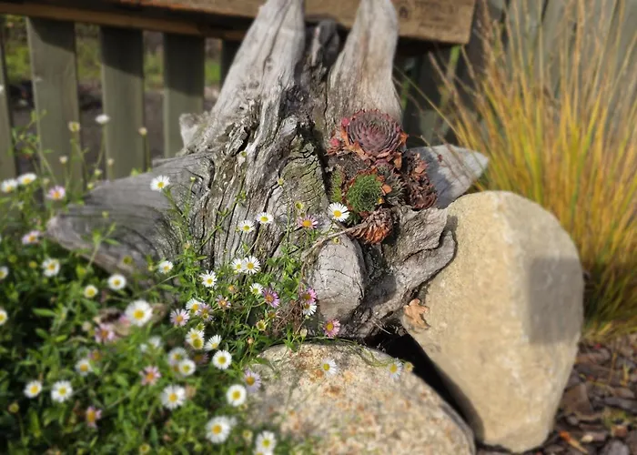 Apartamento Ferien Im Gartenrausch - Goenn Dir Eine Auszeit Im Herzen Von