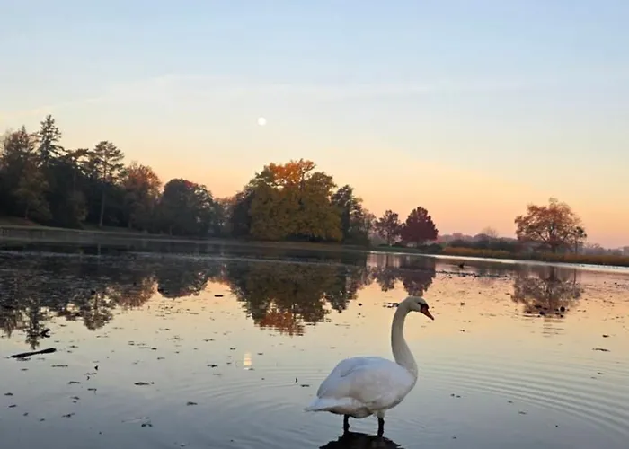Apartment Ferien Im Gartenrausch - Goenn Dir Eine Auszeit Im Herzen Von *