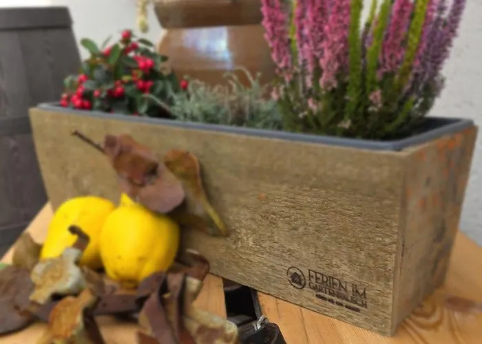 Ferien Im Gartenrausch - Goenn Dir Eine Auszeit Im Herzen Von Woerlitz