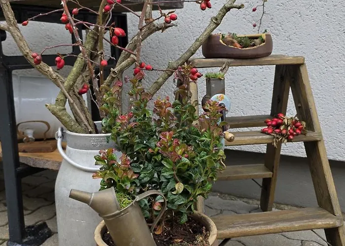 Ferien Im Gartenrausch - Goenn Dir Eine Auszeit Im Herzen Von *