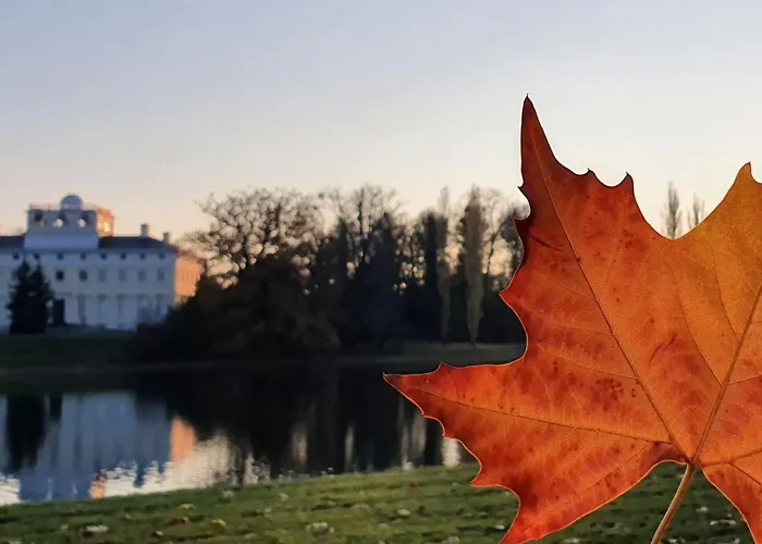Apartment Ferien Im Gartenrausch - Goenn Dir Eine Auszeit Im Herzen Von *