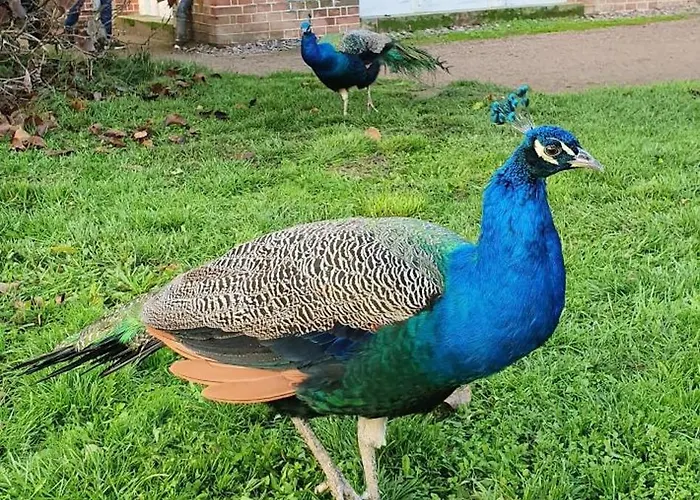Ferien Im Gartenrausch - Goenn Dir Eine Auszeit Im Herzen Von